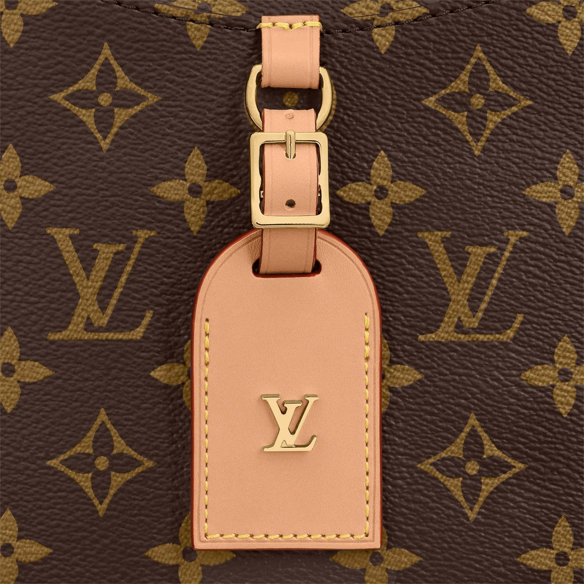 LV Odéon PM